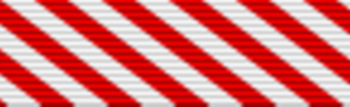 AFM ribbon